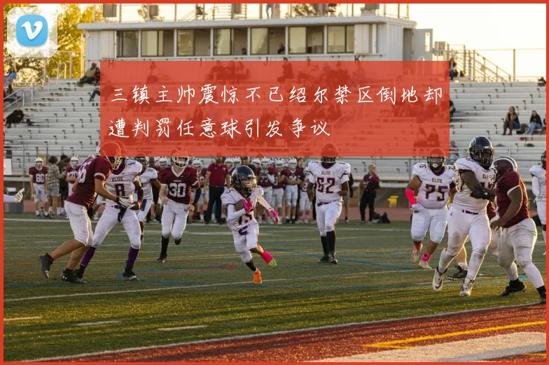 三镇主帅震惊不已绍尔禁区倒地却遭判罚任意球引发争议