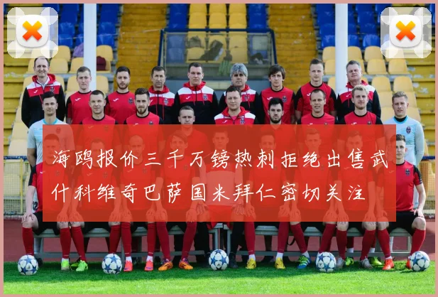 海鸥报价三千万镑热刺拒绝出售武什科维奇巴萨国米拜仁密切关注