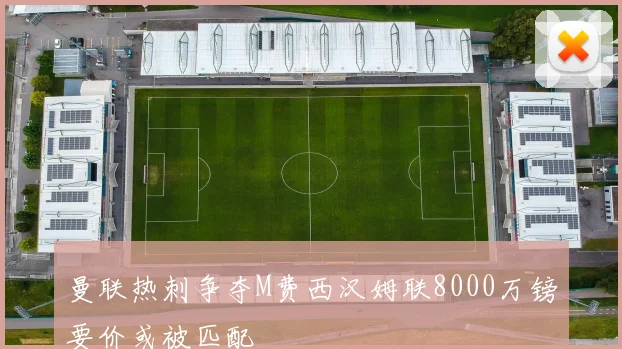 曼联热刺争夺M费西汉姆联8000万镑要价或被匹配
